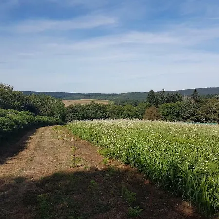 בית הארחה Chez Black And White 3*