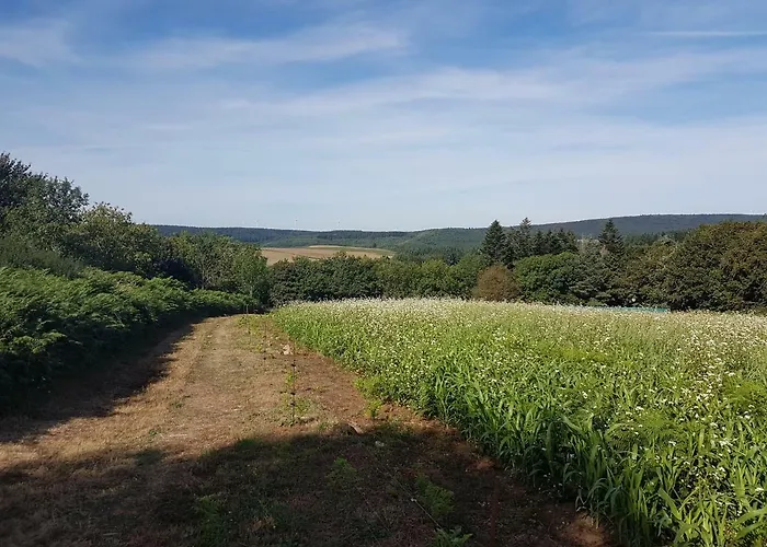 Affittacamere Chez Black And White 3*